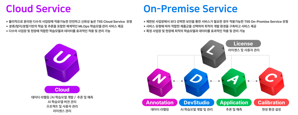 TIIS AI Solution